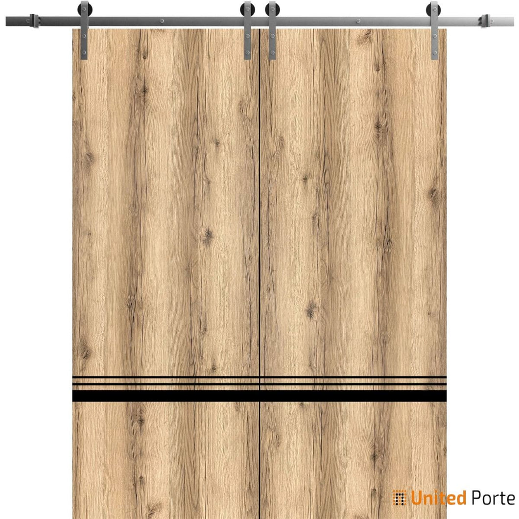 Planum 0012 Oak Double Barn Door and Silver Rail