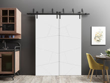 Carregar imagem no visualizador da galeria, Planum 0990 Painted White Matte Double Barn Door and Black Bypass Rail
