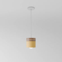 Carregar imagem no visualizador da galeria, Laetus Pendant Light
