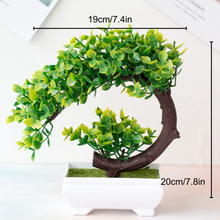 Carregar imagem no visualizador da galeria, Ornamental Bonsai Tree
