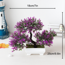 Carregar imagem no visualizador da galeria, Ornamental Bonsai Tree
