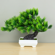 Carregar imagem no visualizador da galeria, Ornamental Bonsai Tree
