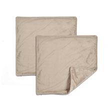 Cargar imagen en el visor de la galería, Velvet Solid Decorative Pillow Cover 2-Pack Set
