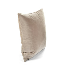 Cargar imagen en el visor de la galería, Velvet Solid Decorative Pillow Cover 2-Pack Set
