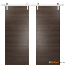 Cargar imagen en el visor de la galería, Planum 0010 Chocolate Ash Double Barn Door and Silver Rail
