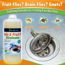 Load image into Gallery viewer, Drain and Fruit Fly Eliminator
