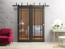 Carregar imagem no visualizador da galeria, Lucia 2266 Matte Black Double Barn Door with Clear Glass and Black Bypass Rails
