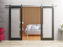 Carregar imagem no visualizador da galeria, Lucia 2166 Matte Black Double Barn Door with Clear Glass and Silver Rail
