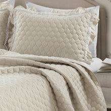 Load image into Gallery viewer, Ella Ruffle Lace 3 Piece Quilt Set
