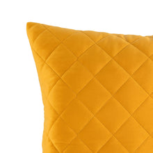 Load image into Gallery viewer, Diamond Velvet Decorative Pillow
