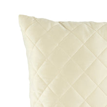 Load image into Gallery viewer, Diamond Velvet Decorative Pillow
