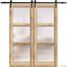 Load image into Gallery viewer, Lucia 2552 Oak Double Barn Door with Frosted Glass and Black Rail
