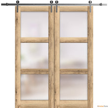 Cargar imagen en el visor de la galería, Lucia 2552 Oak Double Barn Door with Frosted Glass and Silver Rail
