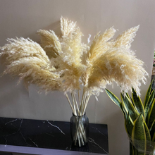 Cargar imagen en el visor de la galería, Pampas Grass Bouquet (Set of 5)
