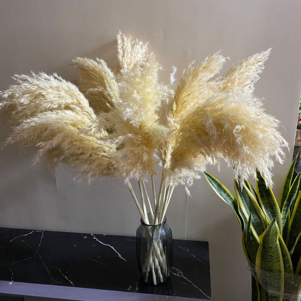 Pampas Grass Bouquet (Set of 5)