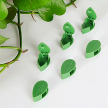 Carregar imagem no visualizador da galeria, Vine Plant Wall Clips
