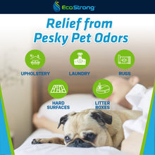 Load image into Gallery viewer, Pet Stain and Odor Eliminator
