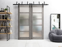 Cargar imagen en el visor de la galería, Quadro 4002 Nebraska Grey Double Barn Door with Frosted Glass and Black Bypass Rail
