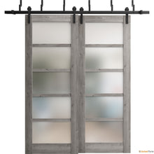 Carregar imagem no visualizador da galeria, Quadro 4002 Nebraska Grey Double Barn Door with Frosted Glass and Black Bypass Rail
