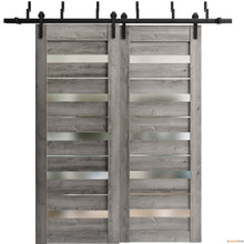 Cargar imagen en el visor de la galería, Quadro 4445 Nebraska Grey Double Barn Door with Frosted Glass and Black Bypass Rail
