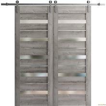 Cargar imagen en el visor de la galería, Quadro 4445 Nebraska Grey Double Barn Door with Frosted Glass and Silver Rail
