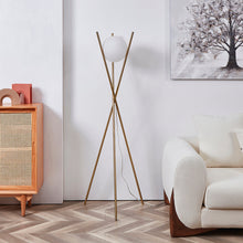 Carregar imagem no visualizador da galeria, Solstice Floor Lamp
