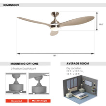 Load image into Gallery viewer, 56&quot; Bernardino Modern Brushed Nickel DC Motor Downrod Mount Reversible Ceiling Fan with Lighting and Remote Control
