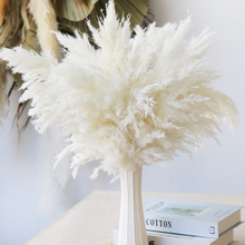 Cargar imagen en el visor de la galería, Pampas Grass Bouquet (Set of 5)
