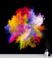 Cargar imagen en el visor de la galería, Wall Mural Decal Sticker Burst of Color Powder Abstract #6006
