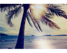 Cargar imagen en el visor de la galería, Beach Palm Tree Coastline Sunset Wall Mural #6040
