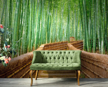 Load image into Gallery viewer, Japanese Bamboo Forest Arashiyama Woods Wall Mural #6043
