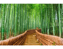 Cargar imagen en el visor de la galería, Japanese Bamboo Forest Arashiyama Woods Wall Mural #6043
