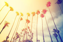 Load image into Gallery viewer, Retro California Sunset Palmtree Wall Mural #6050

