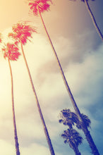 Load image into Gallery viewer, Retro California Sunset Palmtree Wall Mural #6050
