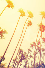 Cargar imagen en el visor de la galería, Retro California Sunset Palmtree Wall Mural #6050
