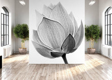 Cargar imagen en el visor de la galería, Black and White Lotus Flower Wall Mural #6116
