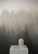 Cargar imagen en el visor de la galería, Misty Pine Forest Wall Mural. Peaceful Foggy Morning Scenery. #6122
