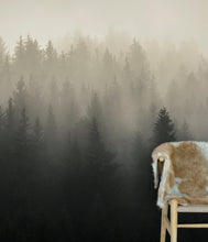 Cargar imagen en el visor de la galería, Misty Pine Forest Wall Mural. Peaceful Foggy Morning Scenery. #6122
