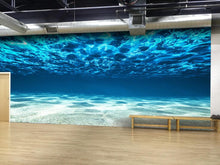 Cargar imagen en el visor de la galería, Underwater Wallpaper. View of Tropical Beach Wall Mural #6124
