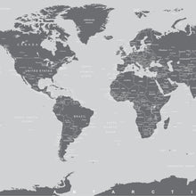 Carregar imagem no visualizador da galeria, World Map Wall Mural (Grey). #6133
