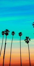 Load image into Gallery viewer, California SoCal Tropical Sunset Palm Trees Large Wall Mural. #6139
