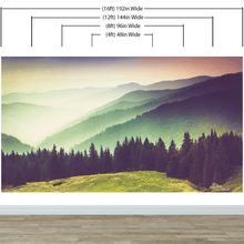 Load image into Gallery viewer, Colorful Foggy Mountain Forest View Wall Mural | Peel and Stick Wallpaper. #6159
