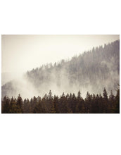 Cargar imagen en el visor de la galería, Foggy Misty Forest Tree Over Mountain Wall Mural. #6171
