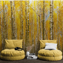 Carregar imagem no visualizador da galeria, Autumn Scenic Birch Tree Forest Wall Mural | Peel and Stick Wallpaper. #6202
