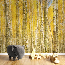 Carregar imagem no visualizador da galeria, Autumn Scenic Birch Tree Forest Wall Mural | Peel and Stick Wallpaper. #6202
