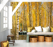 Cargar imagen en el visor de la galería, Autumn Scenic Birch Tree Forest Wall Mural | Peel and Stick Wallpaper. #6202
