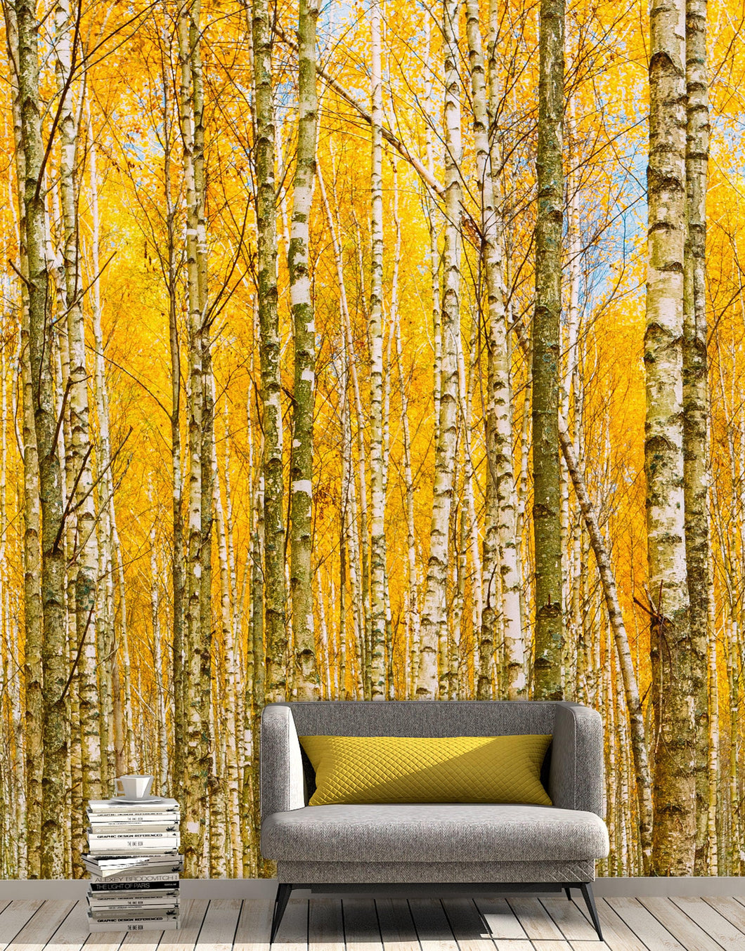 Autumn Scenic Birch Tree Forest Wall Mural | Peel and Stick Wallpaper. #6202