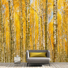 Carregar imagem no visualizador da galeria, Autumn Scenic Birch Tree Forest Wall Mural | Peel and Stick Wallpaper. #6202
