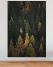 Cargar imagen en el visor de la galería, Enchanted Forest Tree Woodland Peel and Stick Wallpaper | Removable Wall Mural #6203
