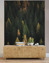 Carregar imagem no visualizador da galeria, Enchanted Forest Tree Woodland Peel and Stick Wallpaper | Removable Wall Mural #6203
